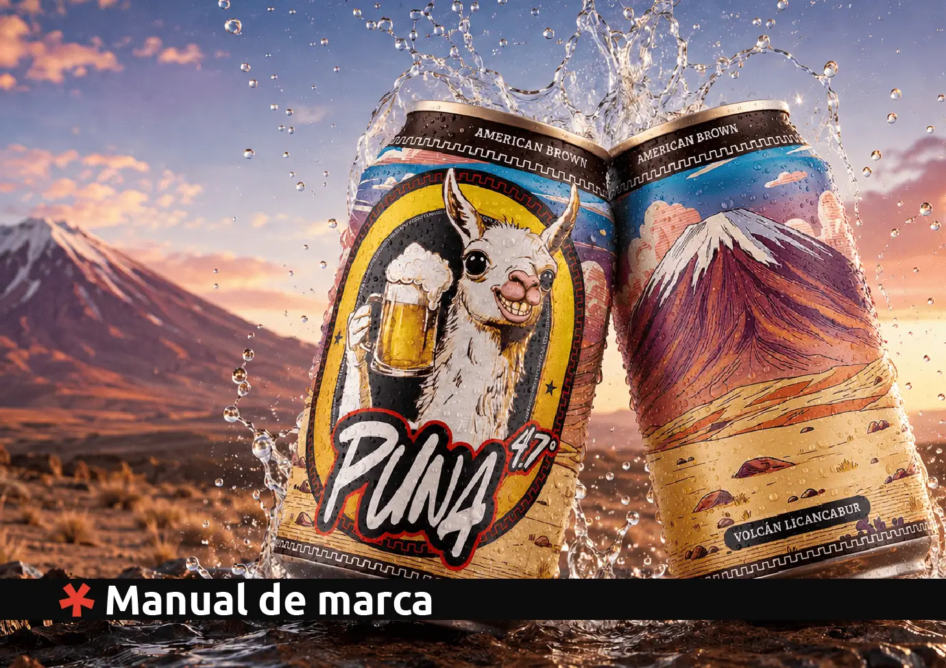Proyecto de identidad para Cerveza Puna